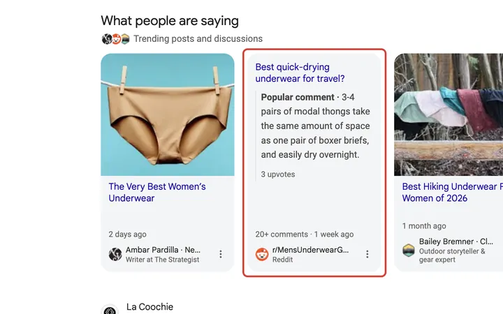 Google results for best underwear for long trips