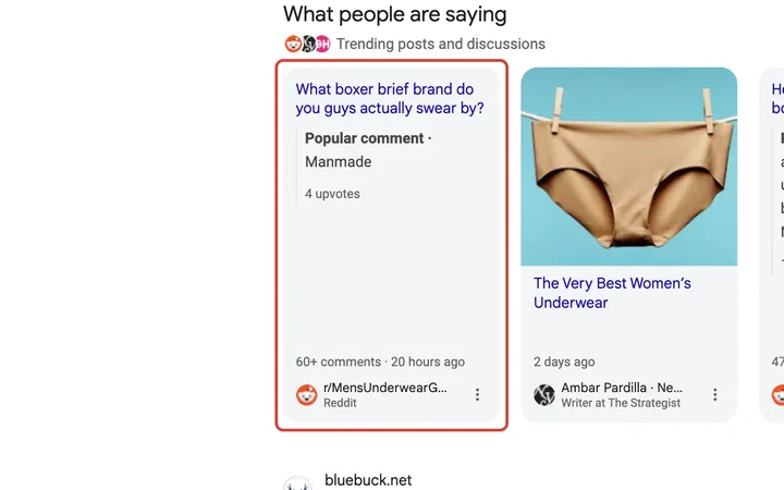 Google results for what boxer brief brand is the best