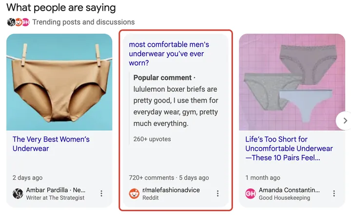 Google results for best everyday wear briefs
